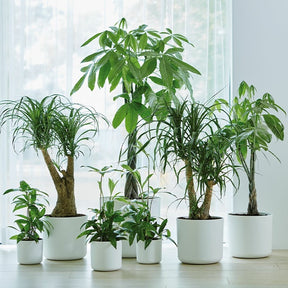 Elho Bloempot B for soft rond - wit