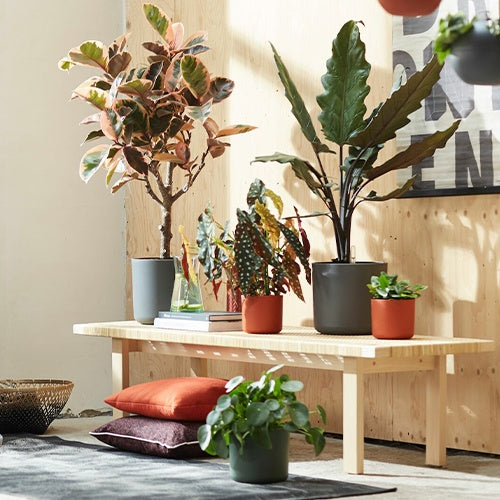 Elho Bloempot B for soft rond - wit