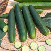 Komkommer 'Tanja' - Cucumis sativus tanja - Willemse