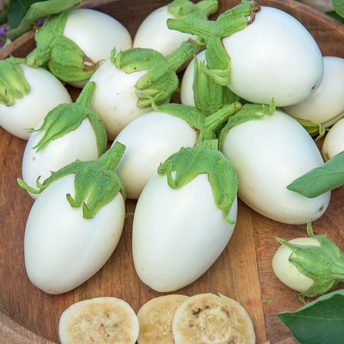 Aubergine 'Rond Wit Ei' - Willemse