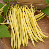 Staakboon 'Monte Gusto'