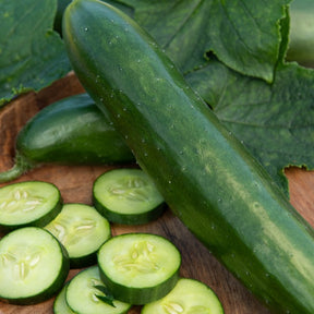 Komkommer 'Le Généreux'