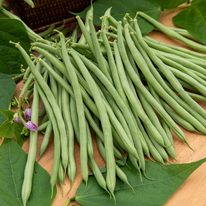 Sperzieboon 'Cobra'