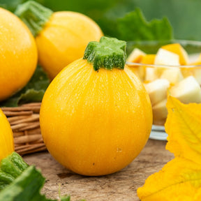 Courgette Sun Ball F1 - Willemse