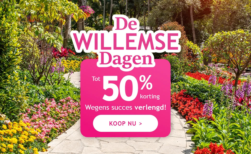 Uitzonderlijke verlenging: Willemse Dagen tot -50%