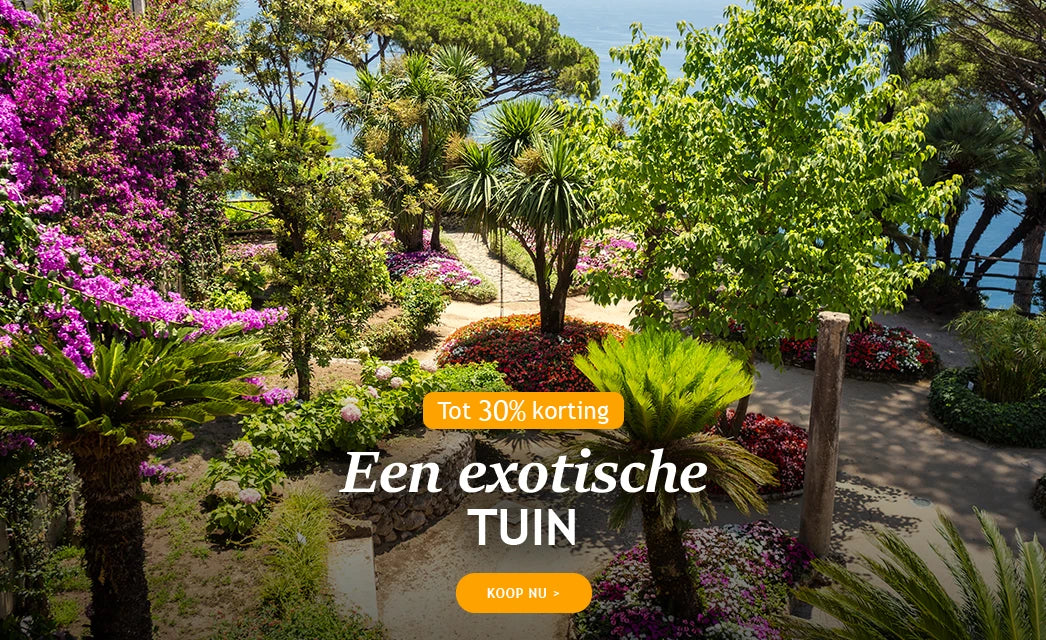 Een exotische tuin tot 30% korting!