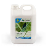 Groen water - Willemse