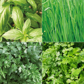 Verzameling biologische kruiden