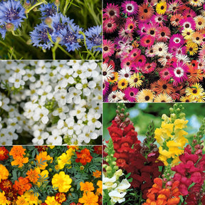 Zaadmat 'Zomerbloeiers' (x5)