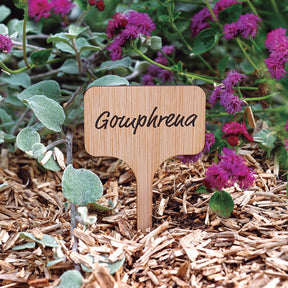 Plantenlabels (x15) - Willemse