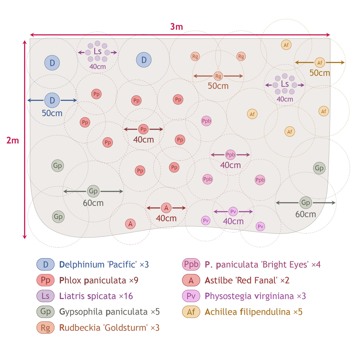 Vaste planten borderpakket - ca. 6 m²