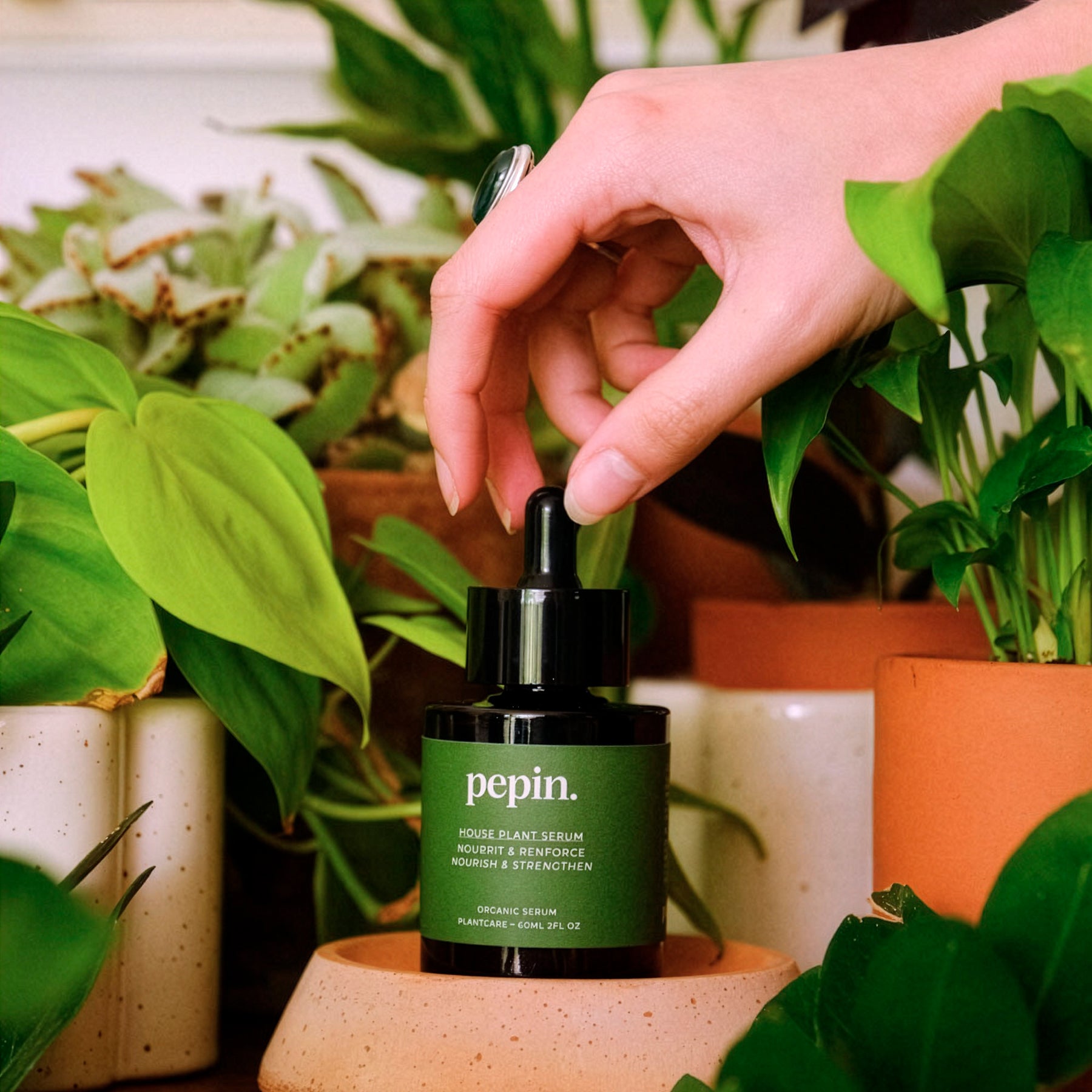 Voedend serum - Groene Planten - Willemse