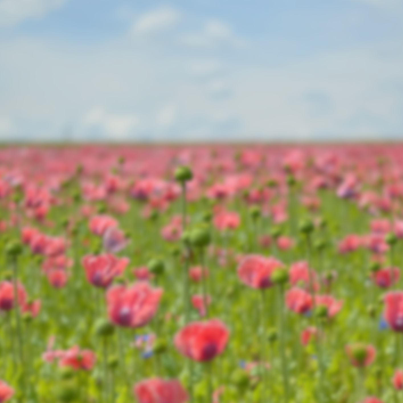 QUI SOMMES-NOUS  (12).png__PID:b7056c26-d4a8-4cf5-b30d-992f2d697c64