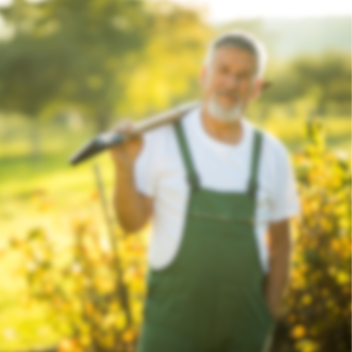 QUI SOMMES-NOUS  (13).png__PID:e055a869-5927-4e01-90f7-ebf04857bafb