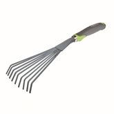 Kleinbladige brem - Willemse