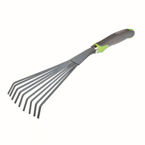 Kleinbladige brem - Willemse