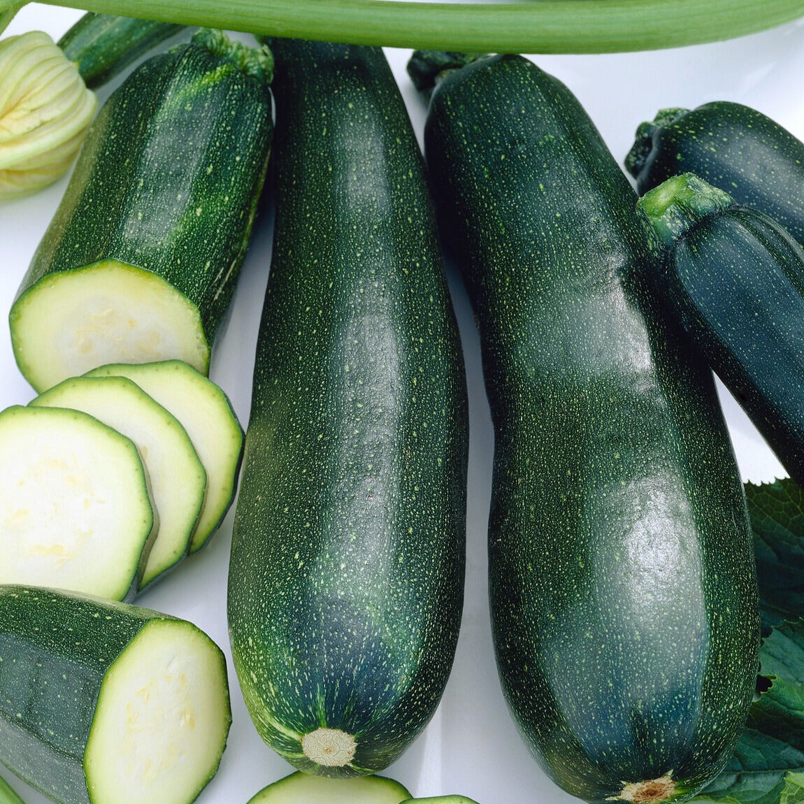 Courgette 'Black Beauty' - Willemse