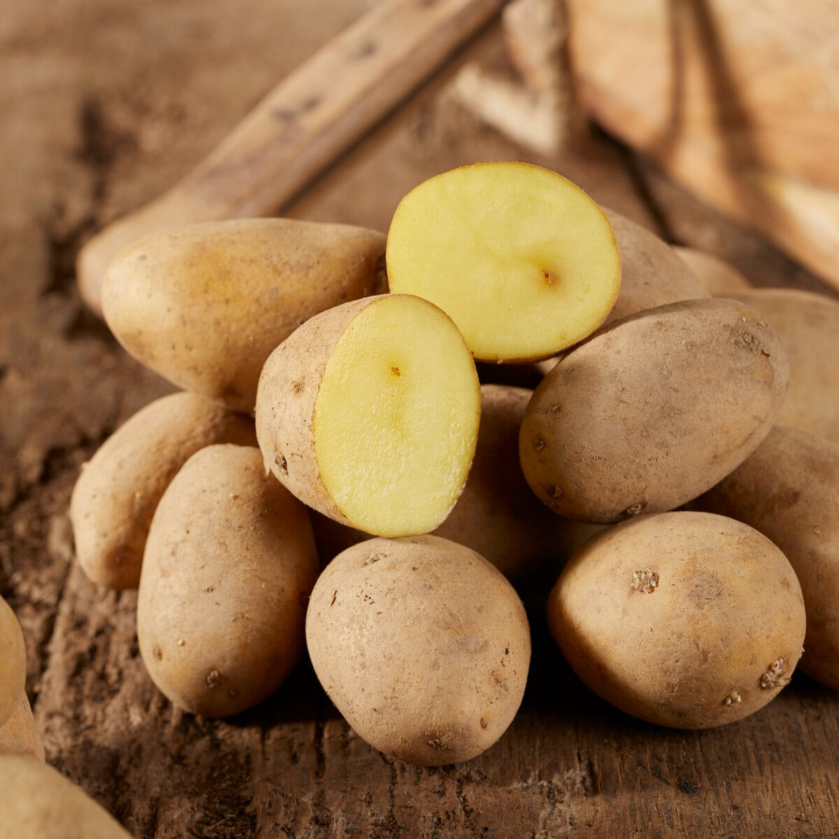 Aardappel 'Annabelle'