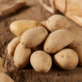 Aardappel 'Annabelle'