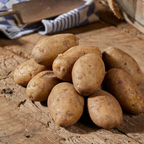 Aardappel 'Nicola' (x25)