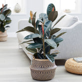 Abidjan Rubber - Willemse