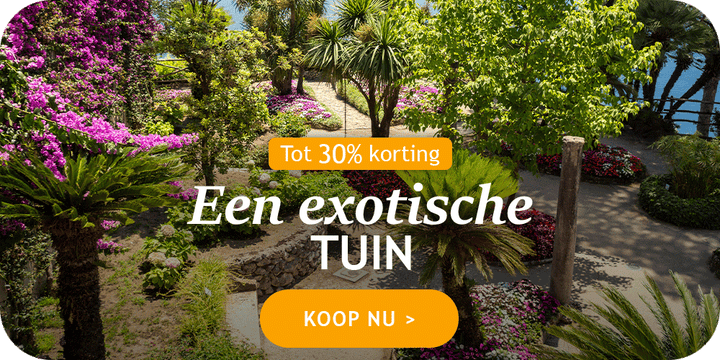 Een exotische tuin tot 30% korting!
