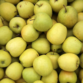 Appelboom 'Golden Delicious' - Malus domestica Golden Delicious - Willemse