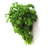 Krulpeterselie - Willemse