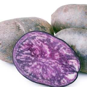 Solanum tuberosum ulysse - Aardappel 'Ulysse' - BIO - Aardappelplanten