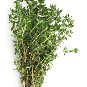 Basilic, ciboulette, persil, thym - Verzameling van aromatische planten (x4) - Kruiden