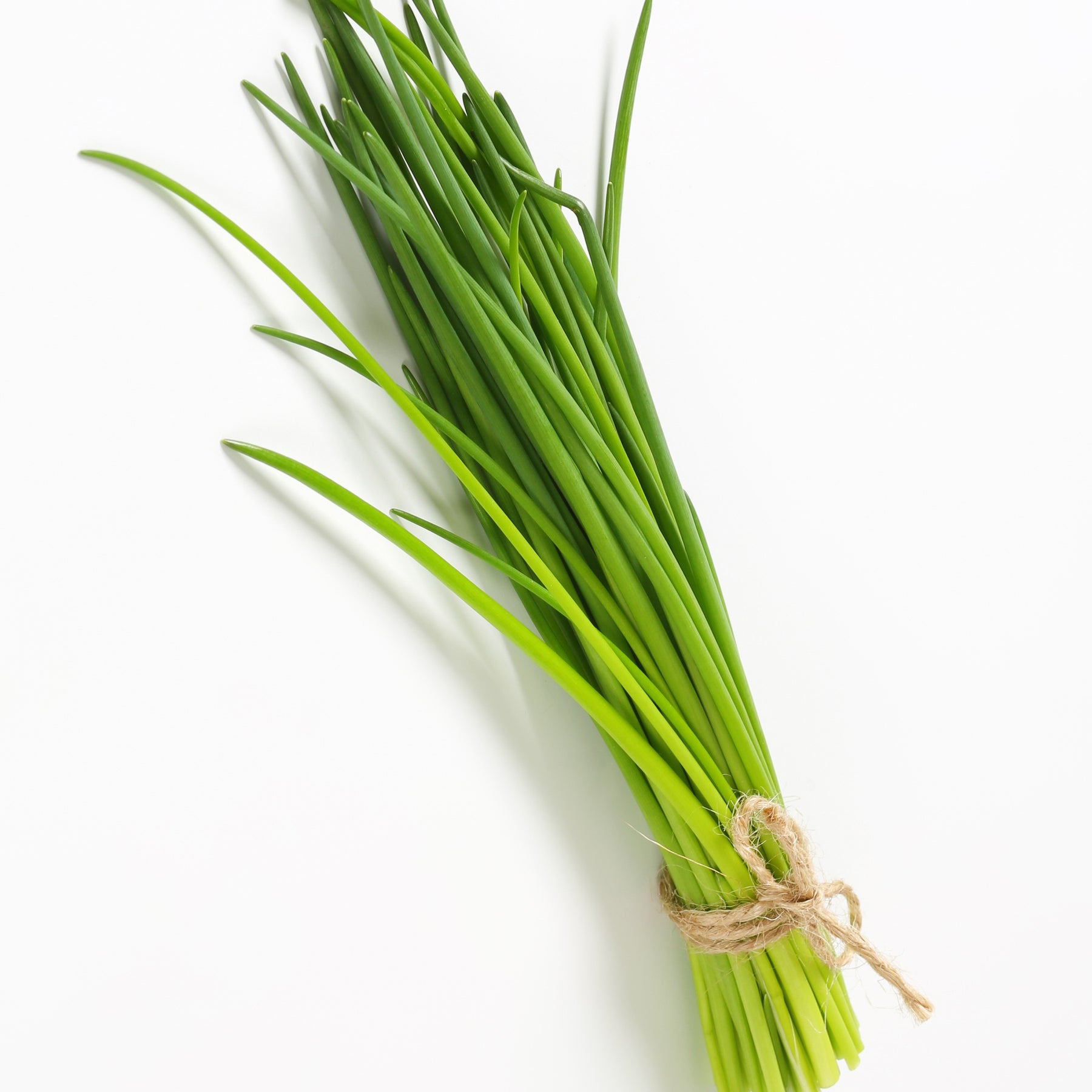 Kruiden - Verzameling van aromatische planten (x4) - Basilic, ciboulette, persil, thym