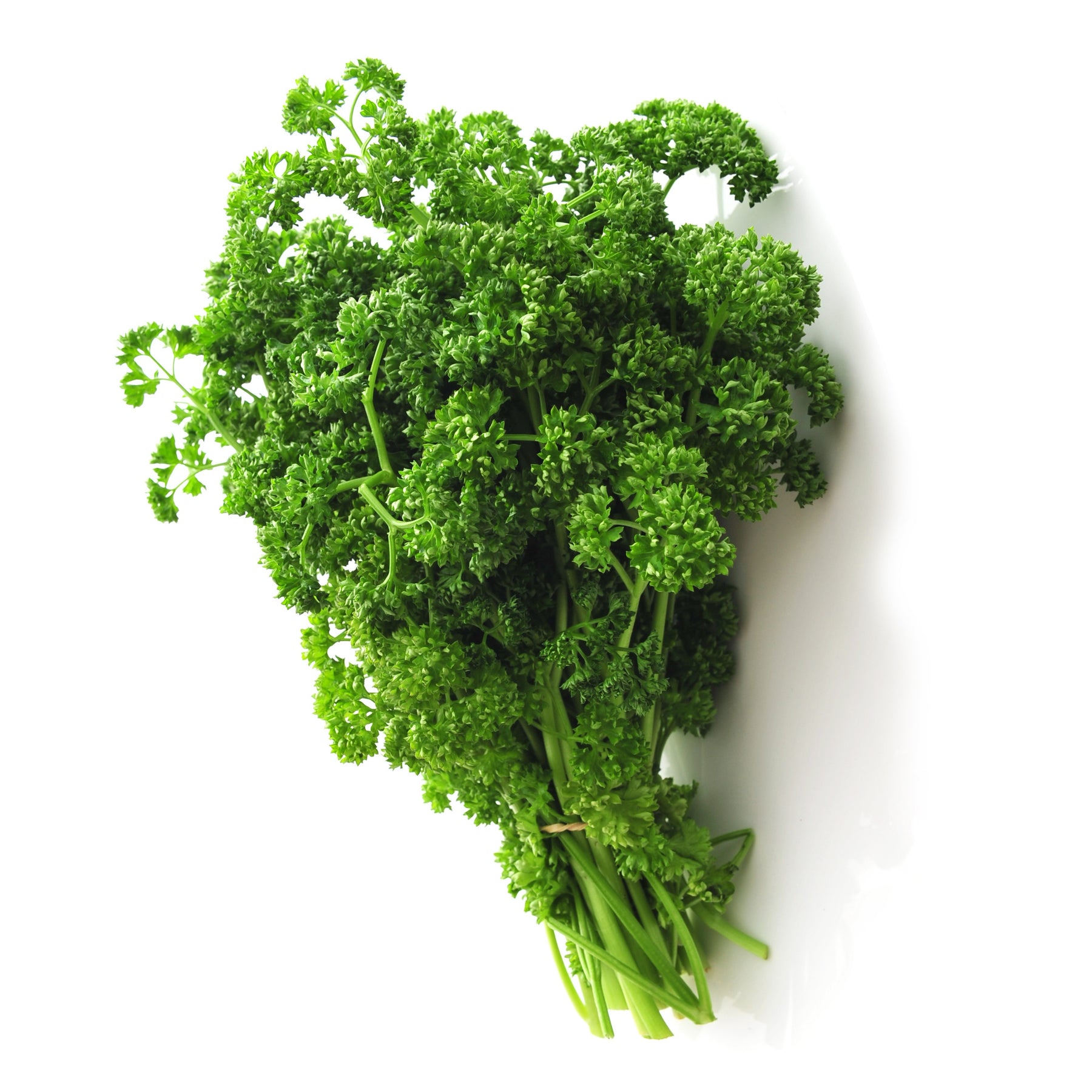 Verkoop Verzameling van aromatische planten (x4) - Basilic, ciboulette, persil, thym