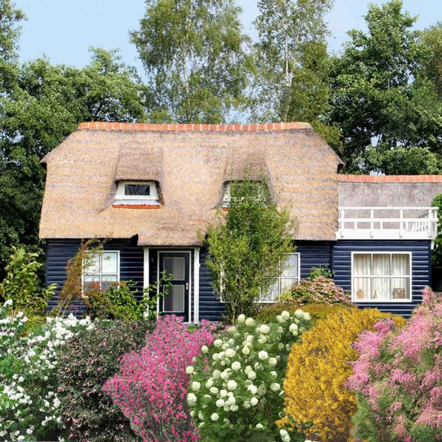 Vier jaargetijden haag - Mix - Tamarix, forsythia, philadelphus, ribes, symphonicarpus, viburnum - Willemse