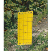 Kleverige insectenvallen (x5) - Willemse