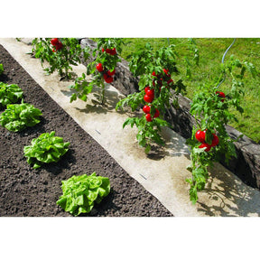 Natuurlijke biologisch afbreekbare mulch Chanvrelin -  - Willemse