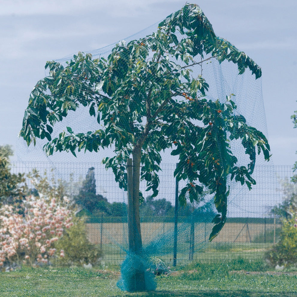 Vogelbeschermingsnet