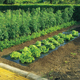 Onkruidfolie voor alle gewassen - Moestuin aanleg