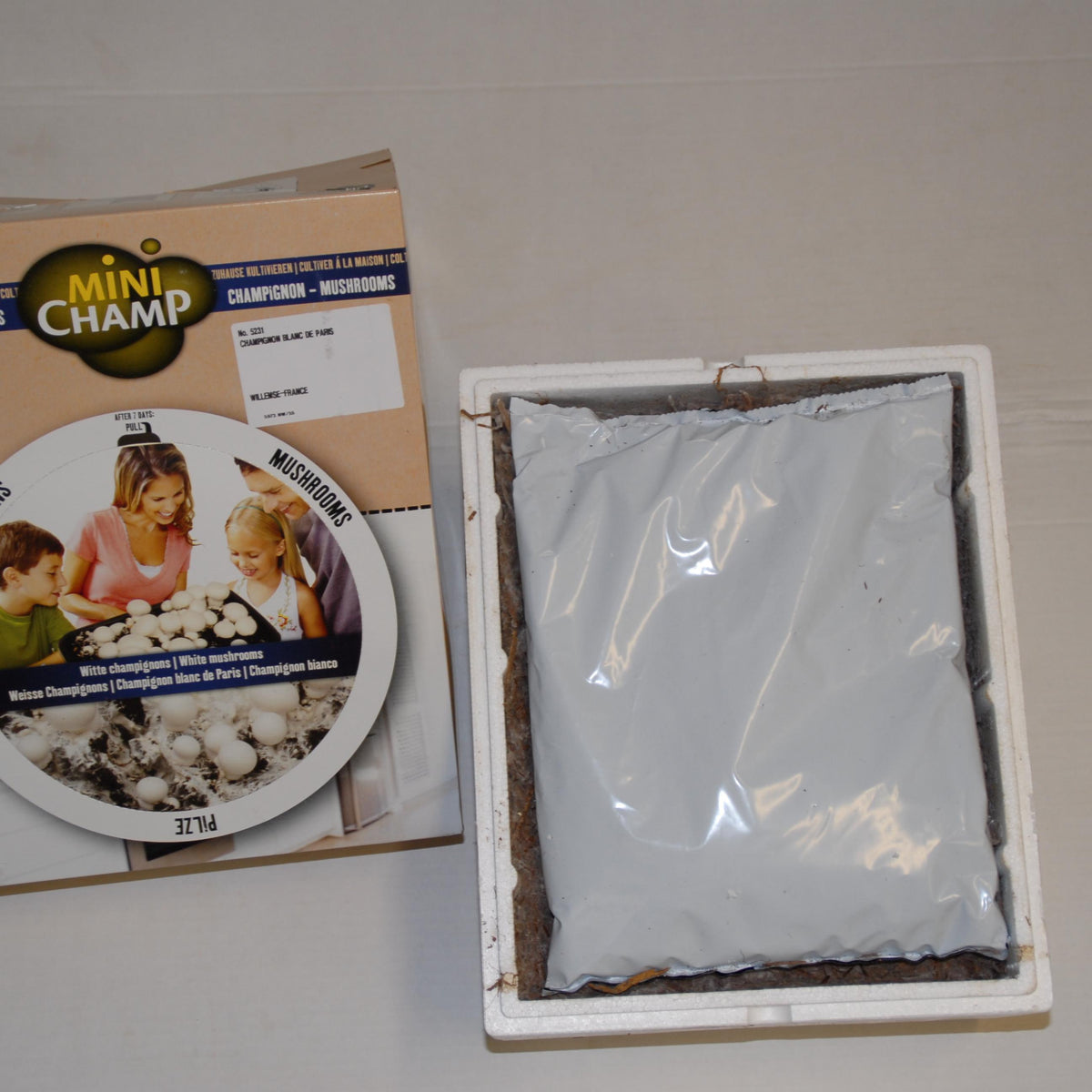 Kweekset witte champignon - Agaricus bisporus albidus - Paddenstoelen