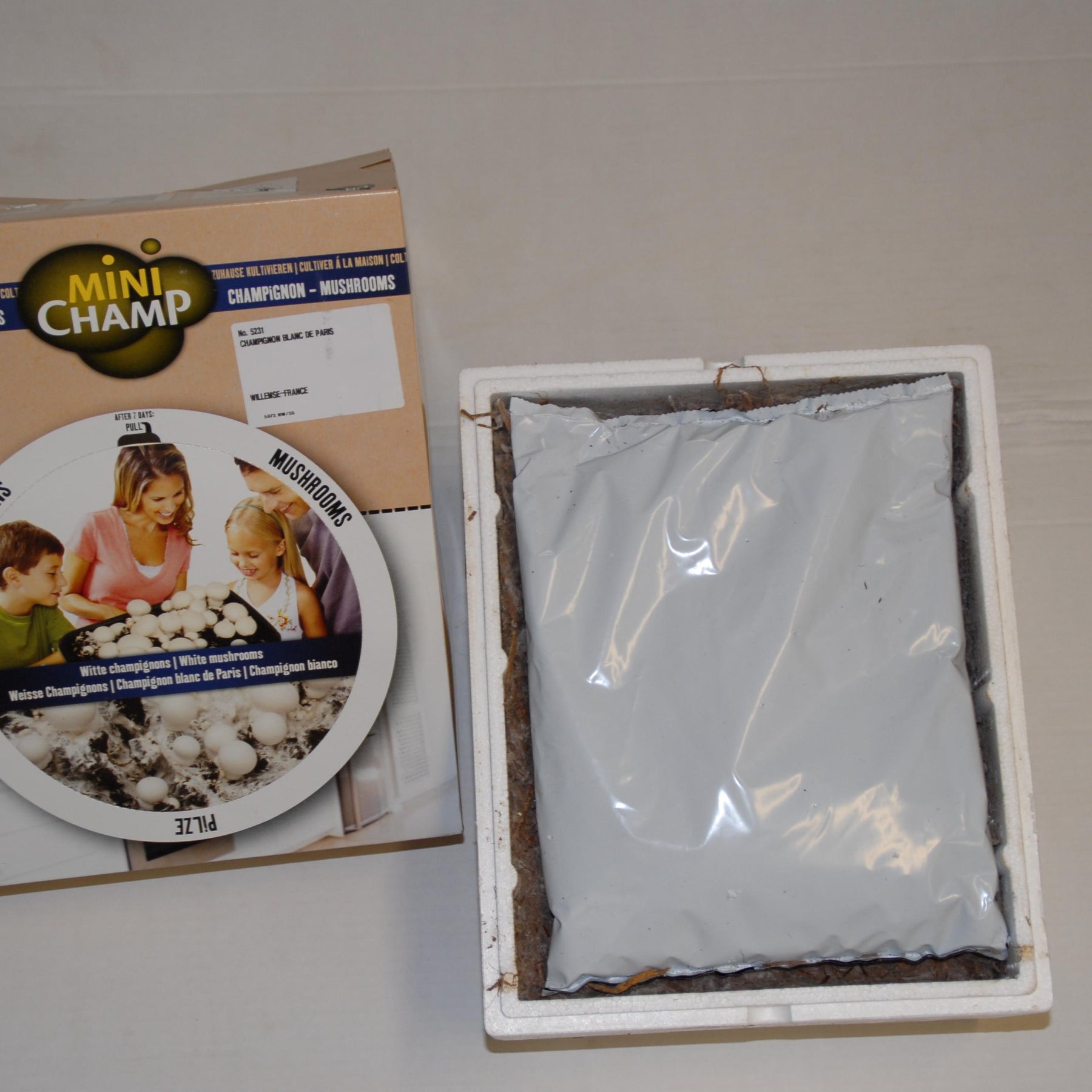 Kweekset witte champignon - Agaricus bisporus albidus - Paddenstoelen