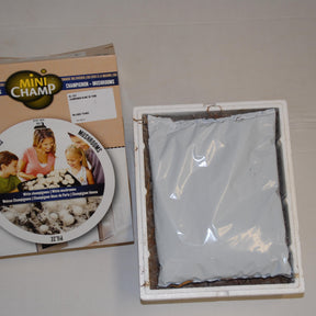 Kweekset witte champignon - Agaricus bisporus albidus - Paddenstoelen