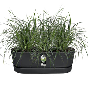 Verkoop Elho balconette Greenville easy balcony living black - 