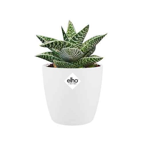  - Elho Bloempot Brussels rond - wit - Onderhoud en Materiaal 