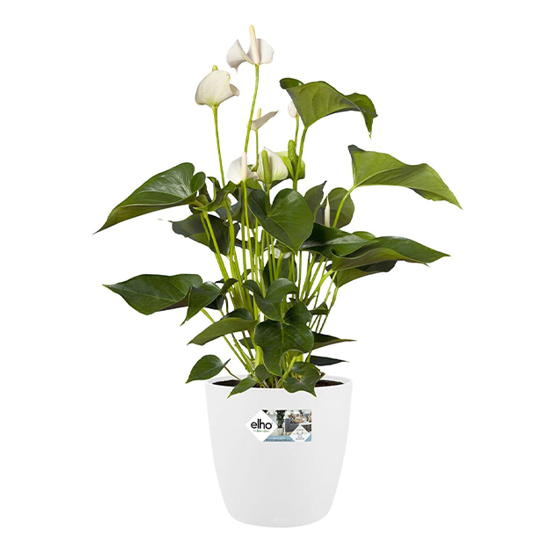 Elho Bloempot Brussels rond - wit