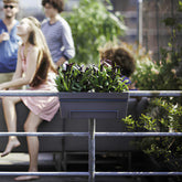 Elho balkonbak Loft urban allin1 rechthoekig antraciet - Buitenpot - Willemse