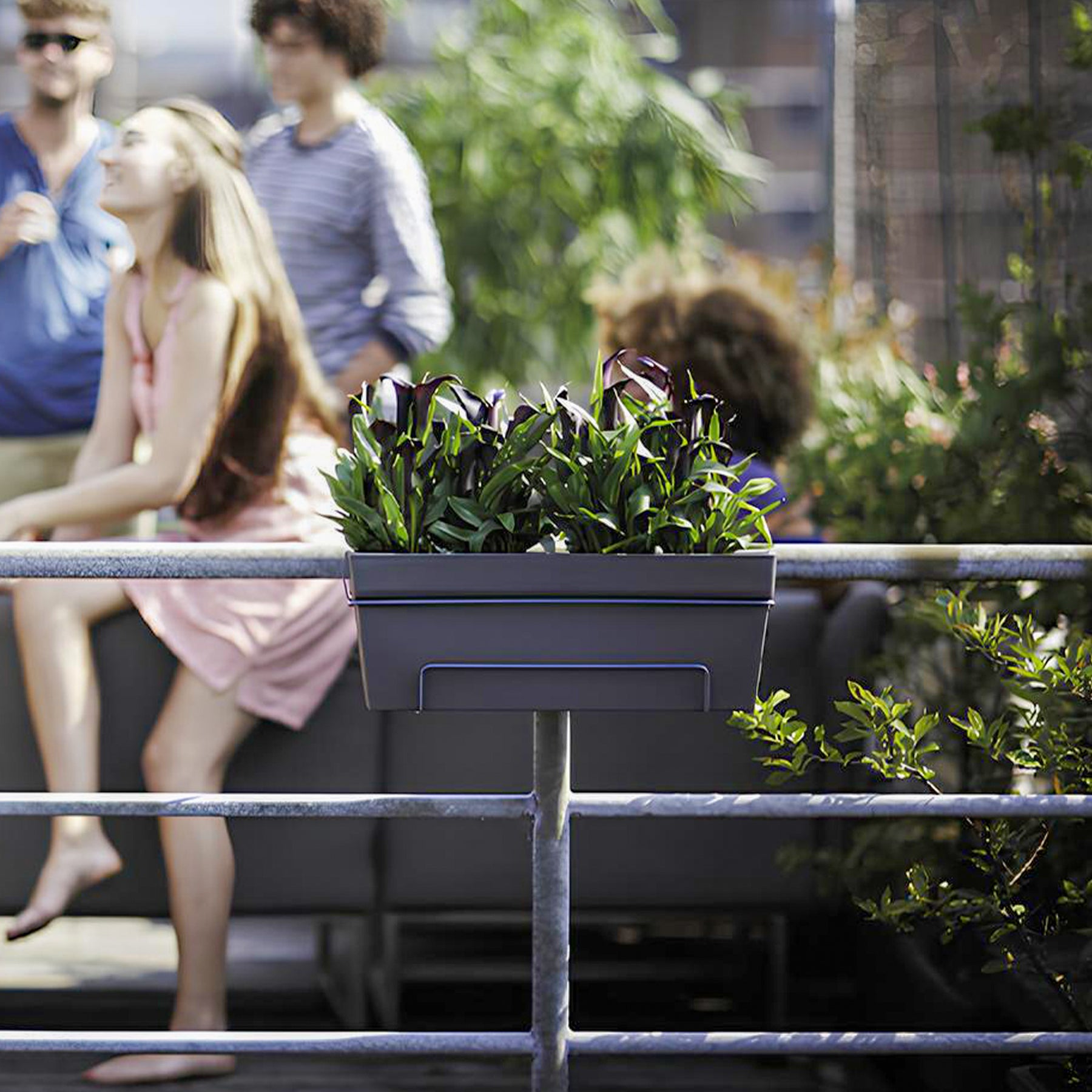 Elho balkonbak Loft urban allin1 rechthoekig antraciet - Buitenpot - Willemse