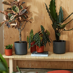 Elho Bloempot B for soft rond - antraciet