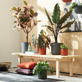 Elho Bloempot B for soft rond - antraciet