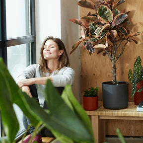 Elho Bloempot B for soft rond - antraciet