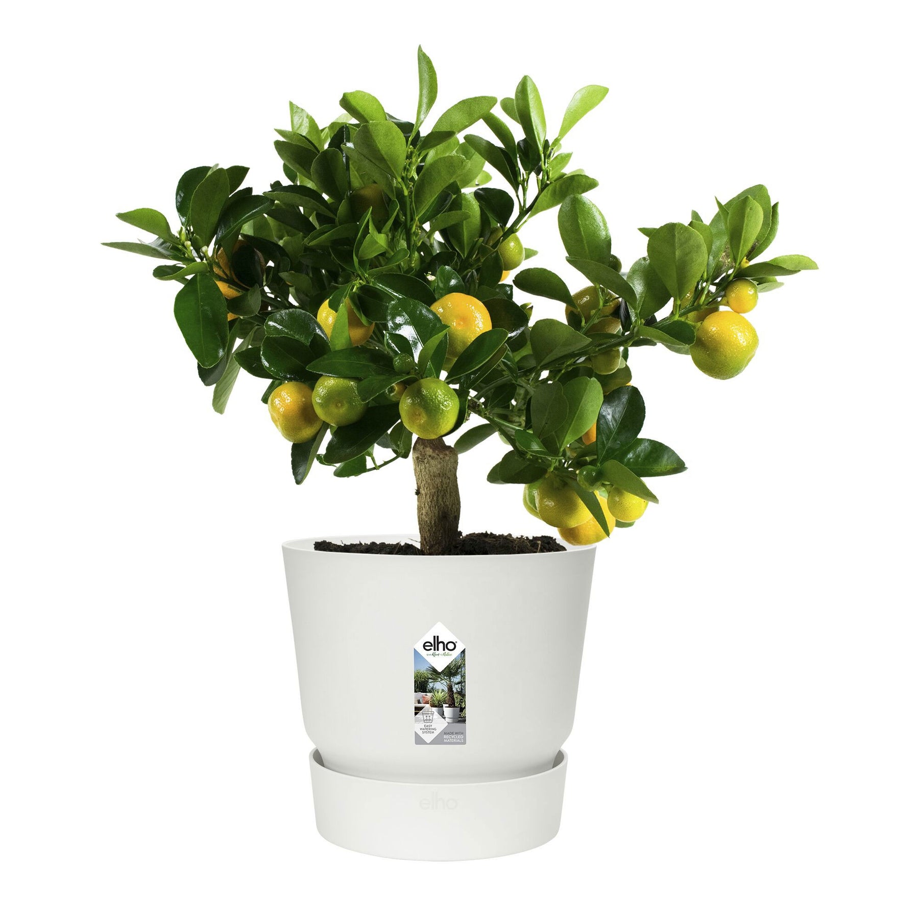 Bloempot Elho greenville wit