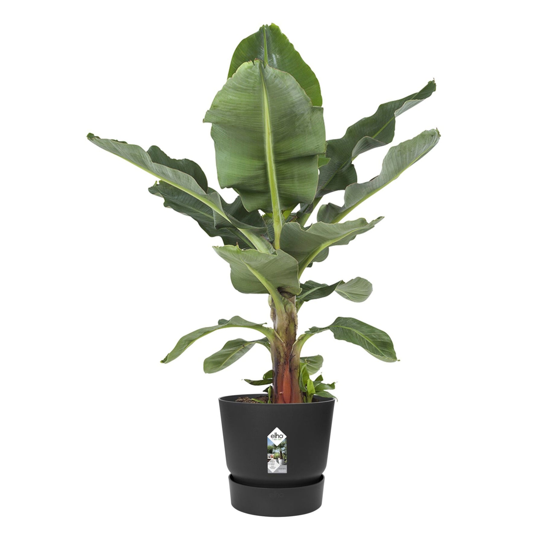 Bloempot Elho greenville zwart